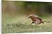 Canvas Prints of -68 from Flpa