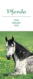 Pferde 2012 - Postkartenkalender - 