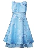 Rare Editions Girls 7-16 AQUA-BLUE BUTTERFLY DOT BURNOUT SHEER OVERLAY Special Occasion Wedding Flower Girl Easter Pageant Party Dress