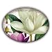 Michel Design Works Glass Soap Dish, Magnolia