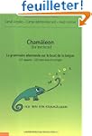 Cham�leon : la grammaire allemande su...