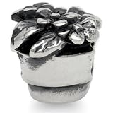 Flower Pot Hobbies Nature Solid Sterling Silver Fits European Charm Bead Bracelets