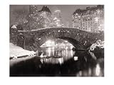 New York Pond in Winter Photographic Poster Print, 24x19