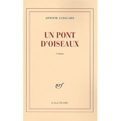 Un pont d'oiseaux