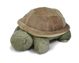 Cloud b Baby Turtle with Quiet Rattle