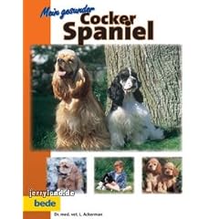 Bede Mein gesunder Cocker Spaniel