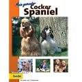 Bede Mein gesunder Cocker Spaniel
