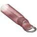Morris Products 12212 Ring Terminal, Heat Shrinkable, Red, 22-16 Wire Size, #6 Stud Size  (Pack of 100)