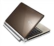 MSI U160-007US 10-Inch Brown Netbook