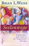 Seelenwege: Erfahrungen und Chancen der Progressions-Therapie - Brian L Weiss