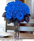 One Dozen Beautiful Blue Roses