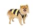 Bumble Bee Jacket Dog Costume Size Small
