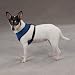 Casual Canine Mesh Harness Med Blue