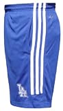 Los Angeles Dodgers MLB Three Stripe Mesh Shorts By Adidas (S)