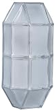 3045 Outdoor Lighting Wall Fixture in Clear & Frost