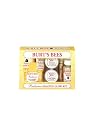 Burt's Bees Radiance Healthy Glow Kit