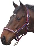 Picture of Cottage Craft Dotty Padded Headcollar