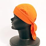 ゼブラサイクル