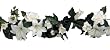 Darice 35555, Lily / Gardenia Garland, 6-Foot, Cream White