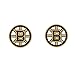 Wincraft NHL Boston Bruins 33993010 Earrings Jewelry Card