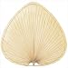 Fanimation ISP1 Wide Oval-Shaped Palm Leaf Ceiling Fan Blades Size/Finish: 22