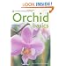 Orchid Basics (Pyramid Paperbacks)