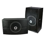 SR-500 – 500W Professional Karaoke Speaker System