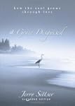 A Grace Disguised: How The Soul Grows...