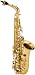 Ravel Student Alto Saxophone w/ High F# Key & Case