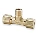 Branch Tee, Brass, CompxM, 1/8In, PK10