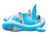 Banzai drinking water Slide:Banzai   Shark squirt Pool