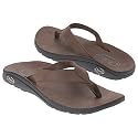 Chaco Women's Eclipse (Brown 6.0 M)