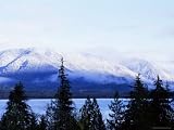 Lake Quinault, Olympic National Park, Unesco World Heritage Site, Washington State, USA Photographic Poster Print by Aaron McCoy, 9x12