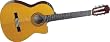 Takamine EG124C G Series Cutaway Acoustic-Electric Classical Guitar, Natural