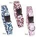 Duke's Tahiti Cat Collar - Blue