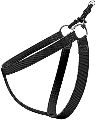 Premium Quality Dog Harness, FREE MATCHING LEAD & "Dog Comfort & Protection System", Non-Pull for Small to Medium Breeds, Easy Step-In Fitting, Adjustable, Padded, Strong, Flexible (Small, Black)
