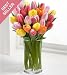 FTD Mixed Tulip Bouquet - 25 Stem
