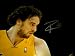 GAI Authentic Pau Gasol Autograph Los Angeles Lakers 16x20 Photo