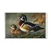 38.5 x24.5 Wall Vinyl Sticker Wood Ducks