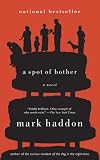 A Spot of Bother: A Novel