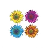 Four Flowers (Color) Art Poster Print - 16 X 16