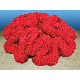Nature's Image Artificial Corals: Open Brain Red by