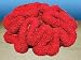 Nature's Image Artificial Corals: Open Brain Red