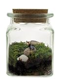 Twig Terrariums