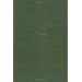Diodorus Siculus: Library of History, Volume IX, Books 18-19.65 (Loeb Classical Library No. 377)