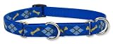 Lupine Medium Martingale Style Dog Collar - Dapper Dog (10-14 inches)