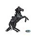 Search : Zorro's Horse