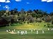 Cornwall Cricket Club, Auckland, New Zealand Art Photographic Poster Print by David Wall, 16x12
