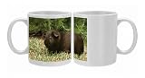 Guinea Pig - Chocolate Photo Mugs