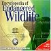 Encyclopedia of Endangered Wildlife